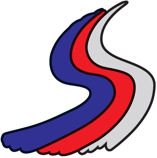 SSL Logo